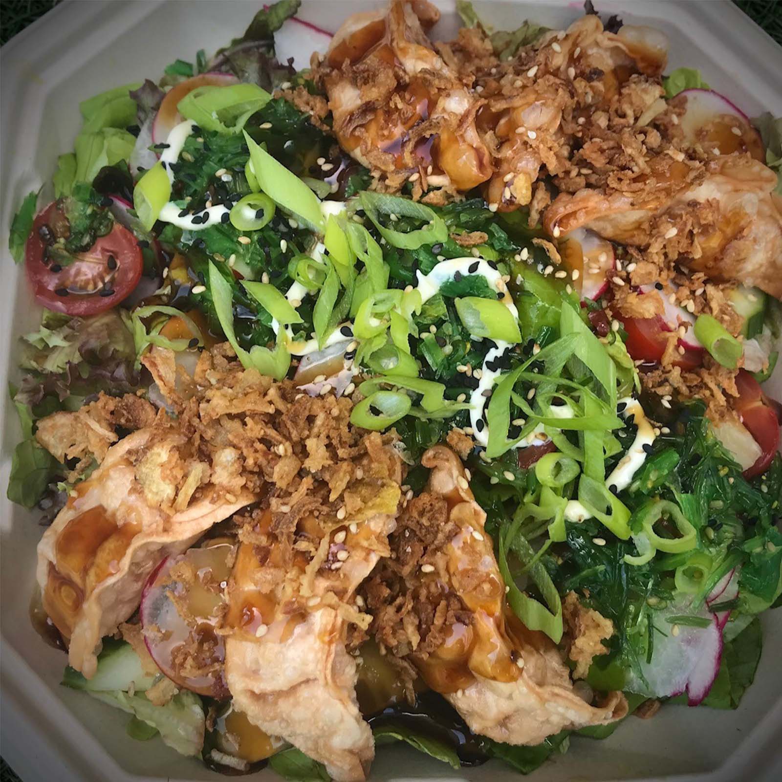 Gyoza salade By-Adriana
